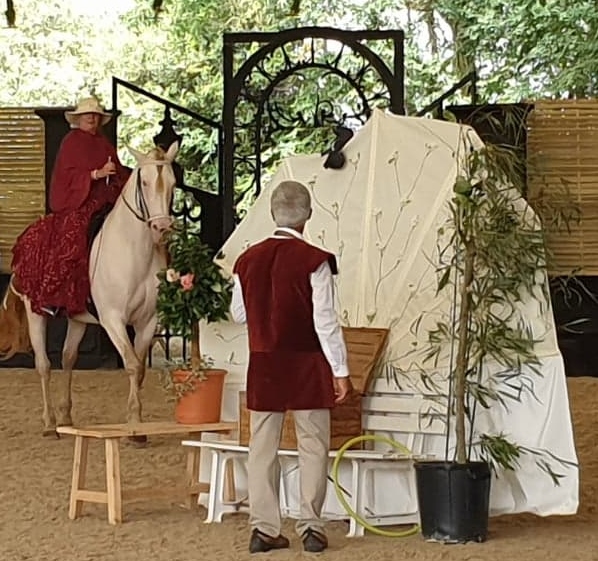 Avec le cheval CEUNO, ALEX, notre oiseau vert et BARBOUILLE le pigeon paon noir et blanc